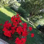 A Casa Di Lucy