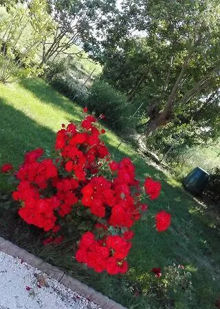 A Casa Di Lucy
