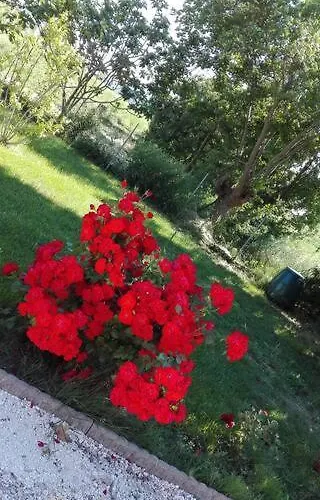 A Casa Di Lucy